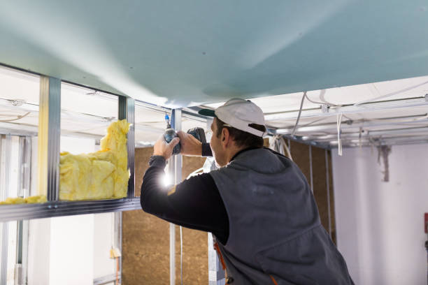 Types of Insulation We Offer in Ferry Pass, FL