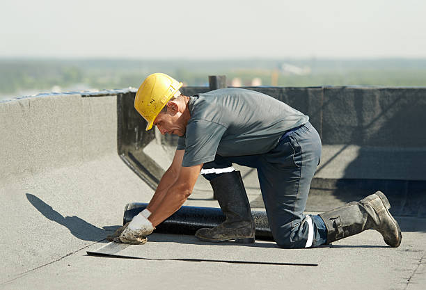 Best Blown-in Insulation in Ferry Pass, FL